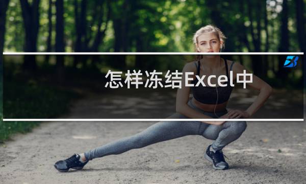 怎样冻结Excel中的任意一行