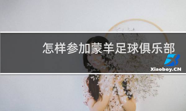 怎样参加蒙羊足球俱乐部