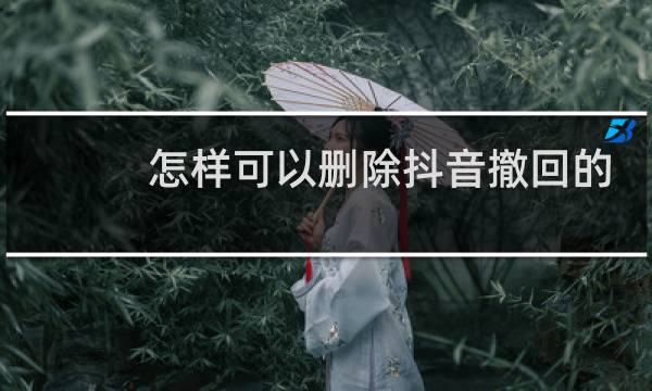 怎样可以删除抖音撤回的聊天信息?