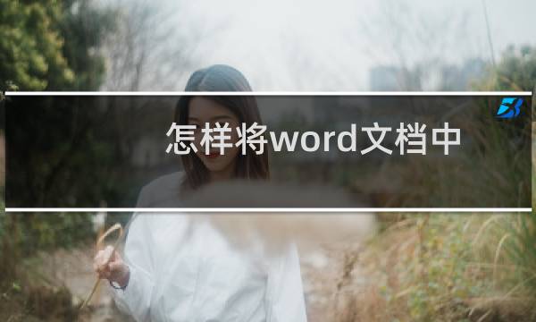 怎样将word文档中的中英文分开