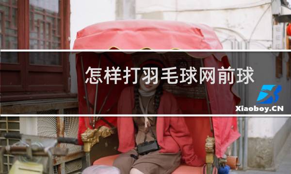 怎样打羽毛球网前球