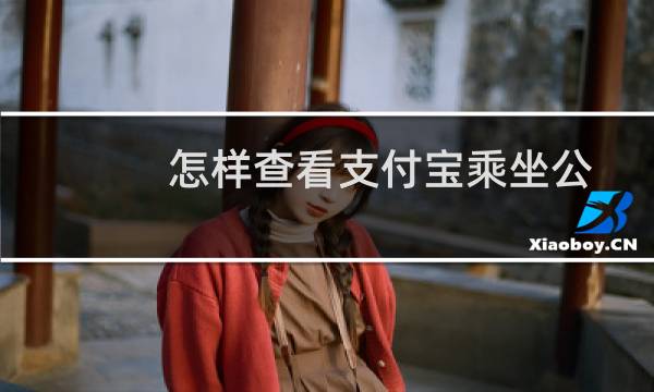 怎样查看支付宝乘坐公交地铁的记录？