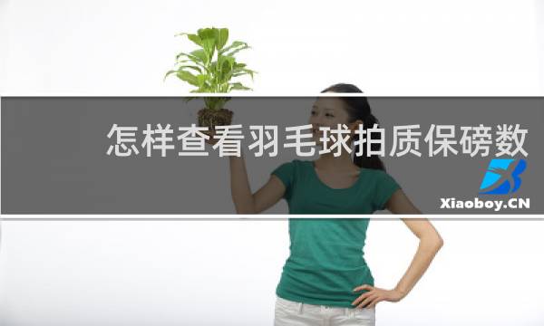 怎样查看羽毛球拍质保磅数