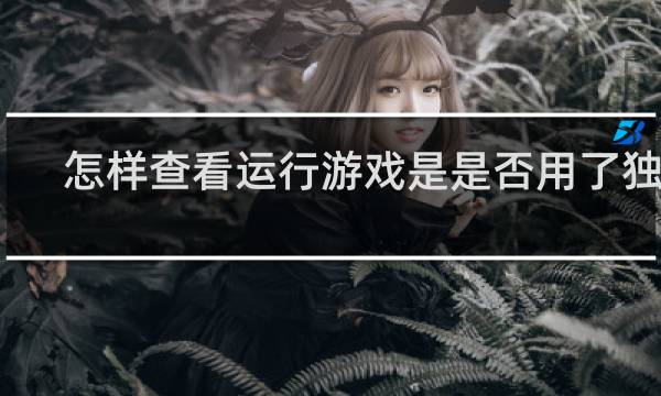 怎样查看运行游戏是是否用了独显