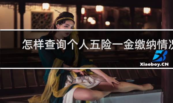 怎样查询个人五险一金缴纳情况