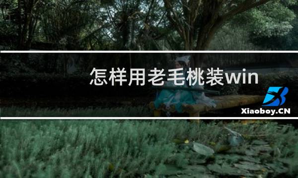 怎样用老毛桃装win10系统