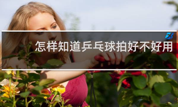 怎样知道乒乓球拍好不好用