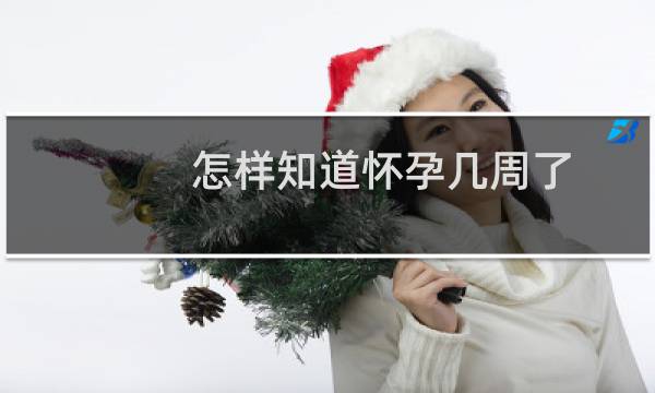 怎样知道怀孕几周了