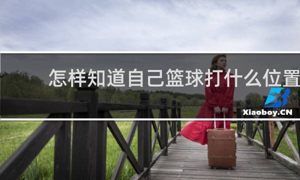 怎样知道自己篮球打什么位置