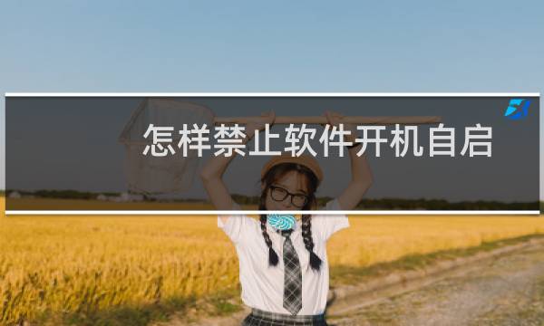 怎样禁止软件开机自启动