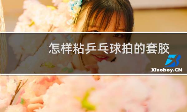 怎样粘乒乓球拍的套胶