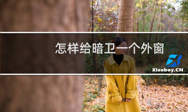 怎样给暗卫一个外窗