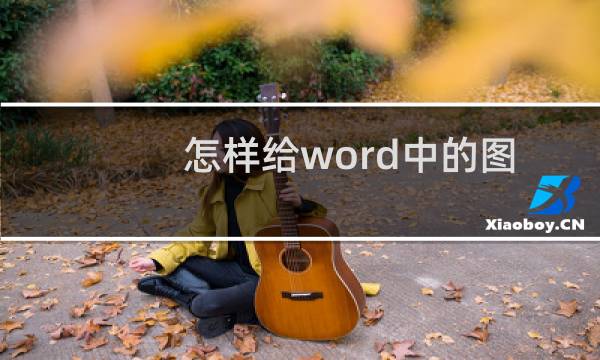 怎样给word中的图片添加注释?