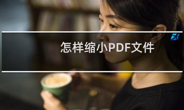 怎样缩小PDF文件