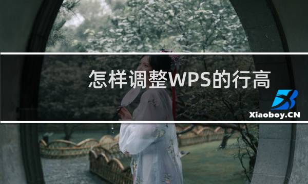 怎样调整WPS的行高和列宽？