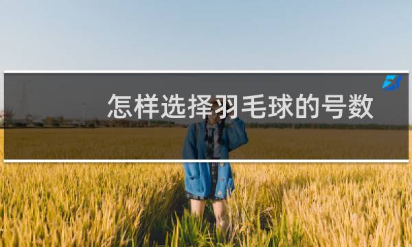 怎样选择羽毛球的号数