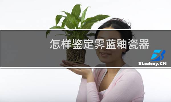 怎样鉴定霁蓝釉瓷器