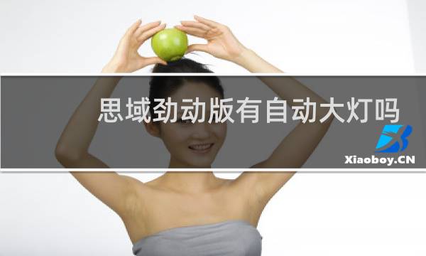 思域劲动版有自动大灯吗