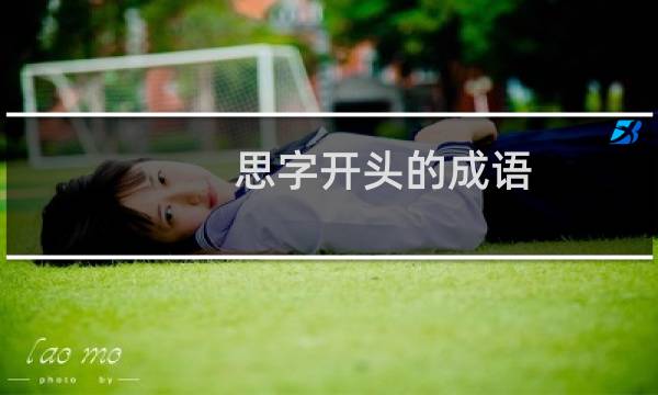 思字开头的成语