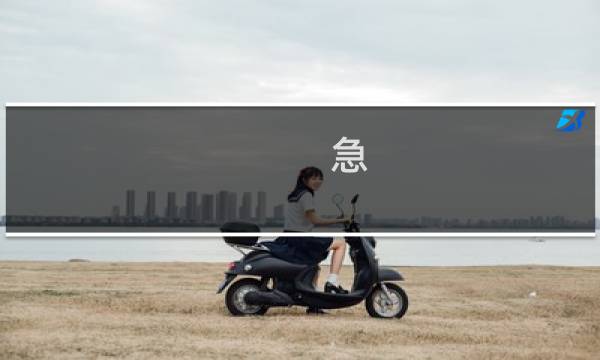 急，麻烦优先审核下，谢谢