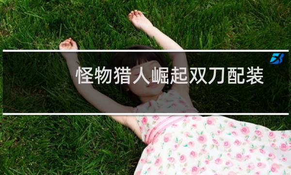 怪物猎人崛起双刀配装分享 怪猎崛起双刀装备推荐图片