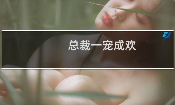 总裁一宠成欢图片