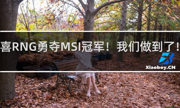 恭喜RNG勇夺MSI冠军！我们做到了！什么梗