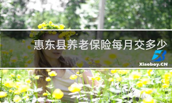 惠东县养老保险每月交多少图片