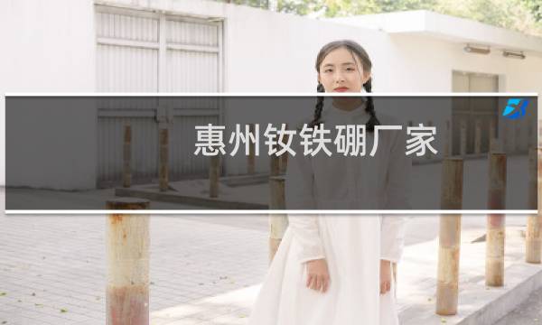 惠州钕铁硼厂家