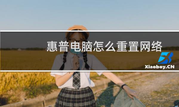 惠普电脑怎么重置网络