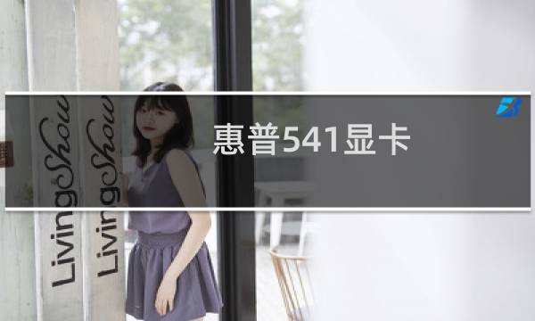 惠普541显卡