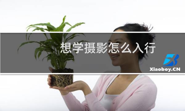 想学摄影怎么入行
