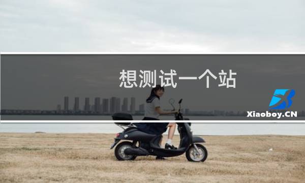 想测试一个站，下载你们网站管理助手