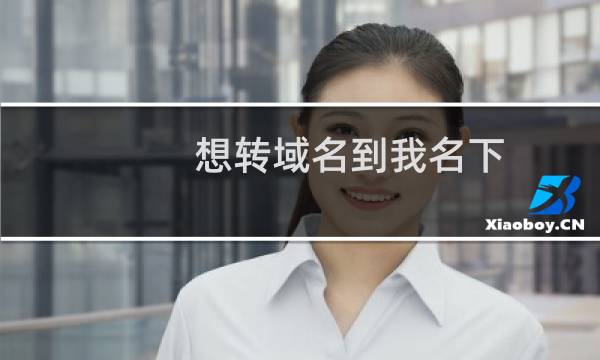 想转域名到我名下，好续费