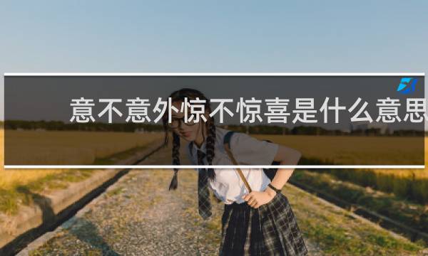 意不意外惊不惊喜是什么意思，下一句怎么神回复什么梗