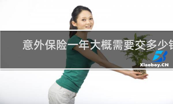 意外保险一年大概需要交多少钱图片