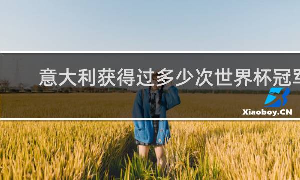 意大利获得过多少次世界杯冠军