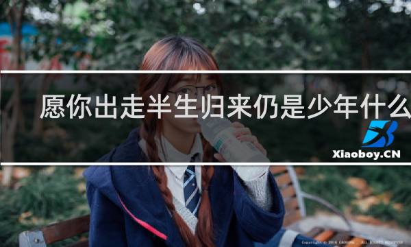愿你出走半生归来仍是少年什么梗