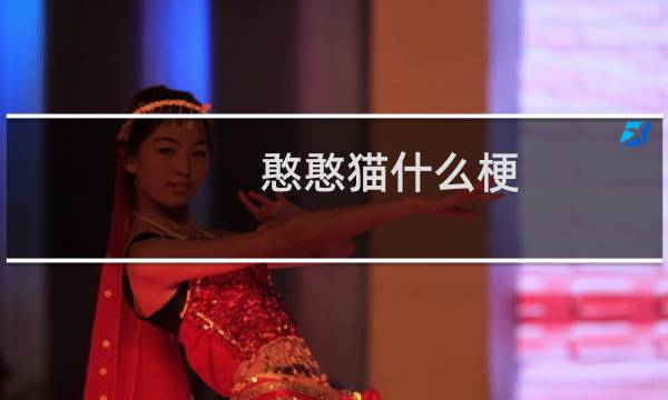 憨憨猫什么梗