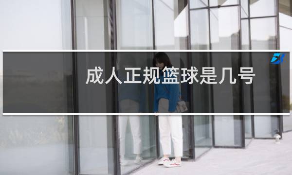 成人正规篮球是几号