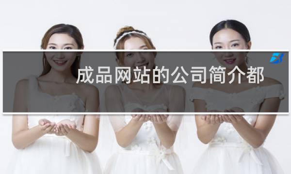 成品网站的公司简介都没法改