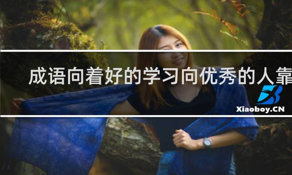 成语向着好的学习向优秀的人靠近