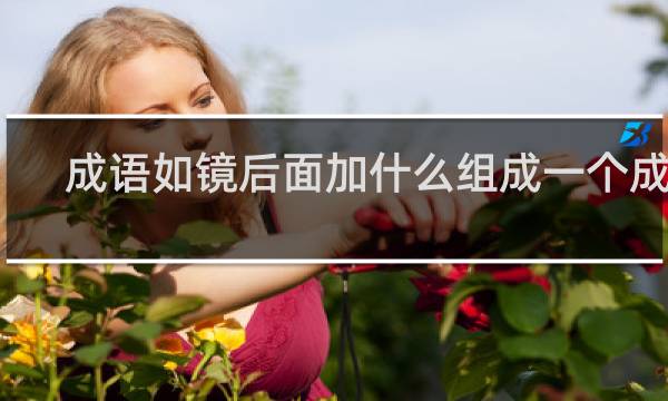 成语如镜后面加什么组成一个成语
