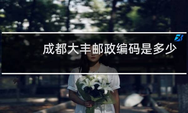 成都大丰邮政编码是多少