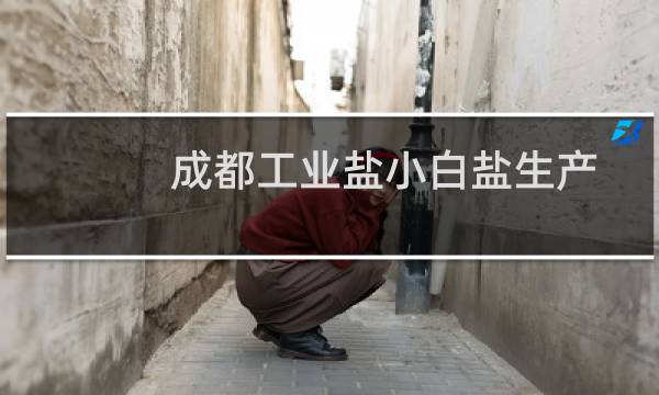 成都工业盐小白盐生产图片