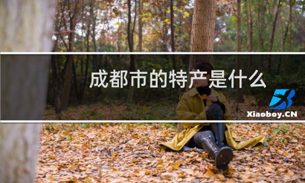 成都市的特产是什么图片