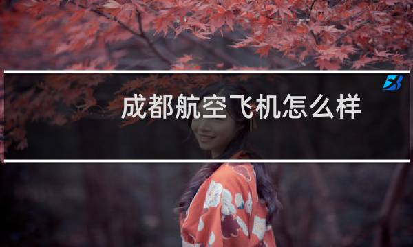 成都航空飞机怎么样