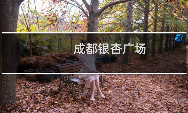 成都银杏广场