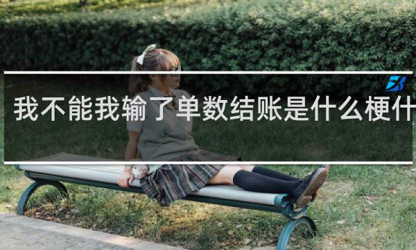 我不能我输了单数结账是什么梗什么梗
