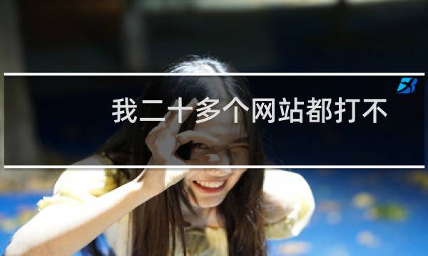 我二十多个网站都打不开了,急!!!!
